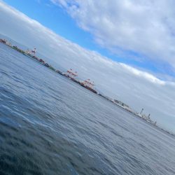 今度はサイズアップ!