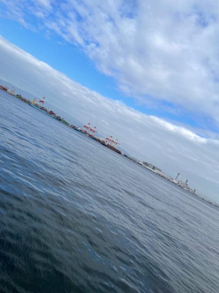 今度はサイズアップ!