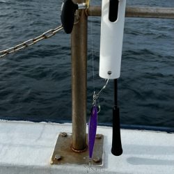 紀淡海峡 タチウオジギング