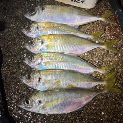 仕事帰りにサクッと