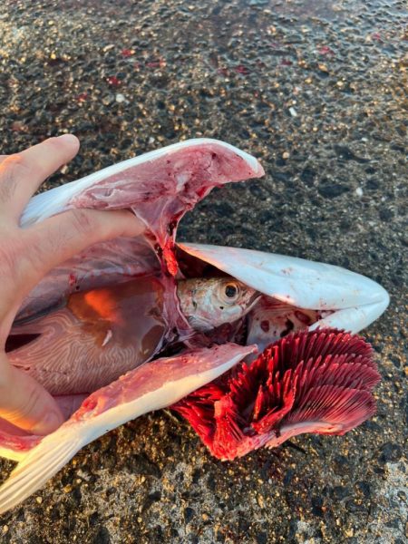 一投目からくるか!