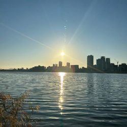 今年最初で最後のハゼクラ!