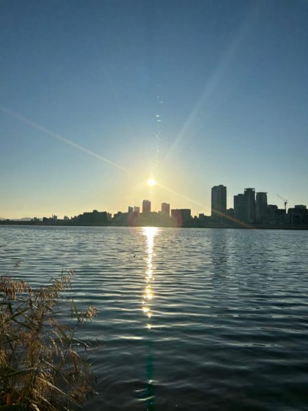 今年最初で最後のハゼクラ!