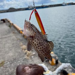 久しぶりのサーフ