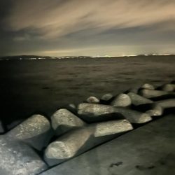 タチウオ不発 エギング