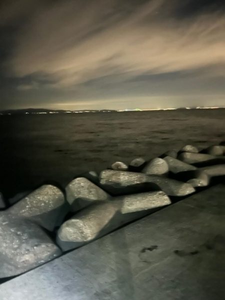 タチウオ不発 エギング