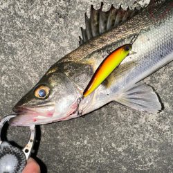 いきなり釣れたし奇跡も起こった!