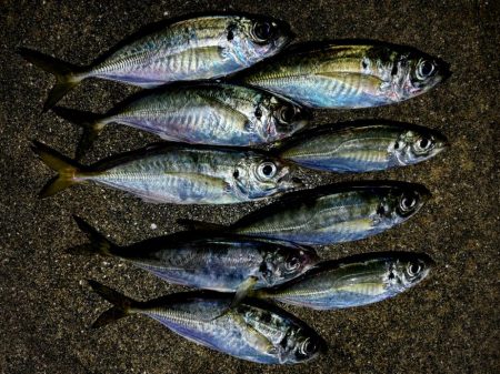 久しぶりの中〜！