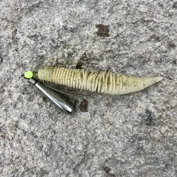 久しぶりのフィールド🔥