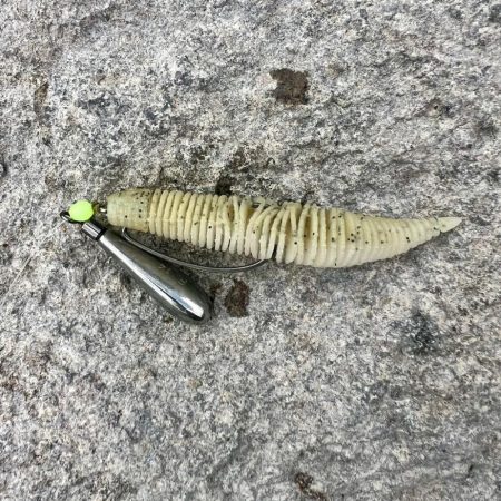 久しぶりのフィールド🔥