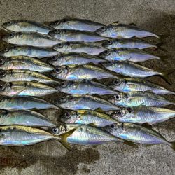 ポイントによって反応が全然違う!爆釣ポイントなら何ぼでも釣れます!!