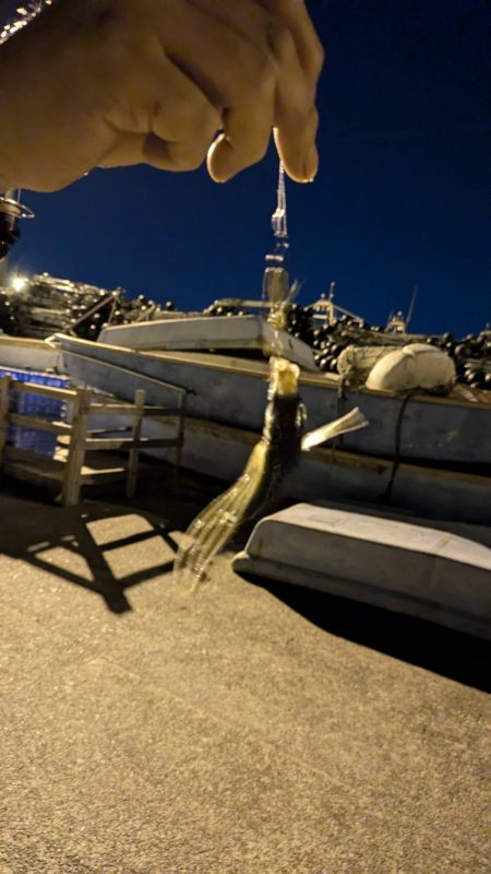 エギングとアジング