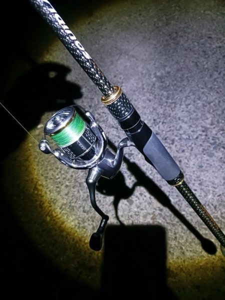 ナイトエギング