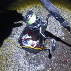 タチウオ狩り 爆釣モード