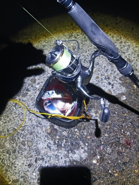 タチウオ狩り 爆釣モード