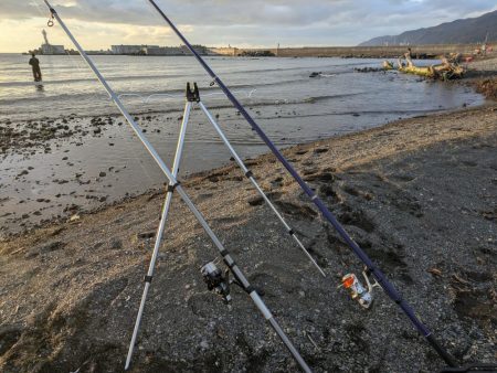 今年初鮭最高です!!😆