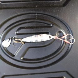 なんとかハマチ1本！