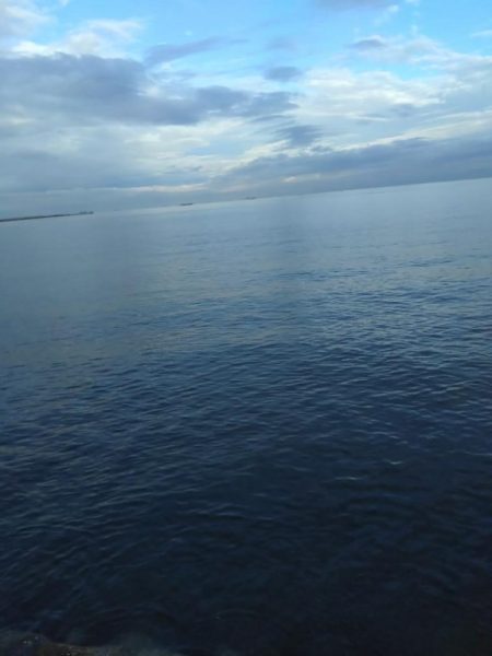 3種釣れるもサイズ伸びず