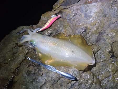 月明かりの無い大潮では