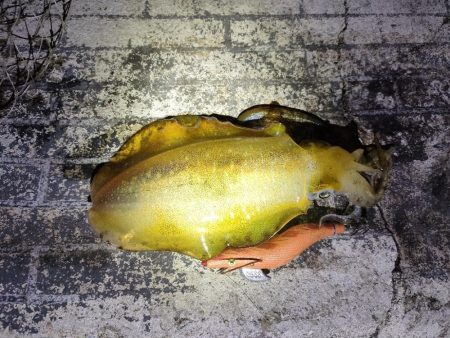 フロートアジング