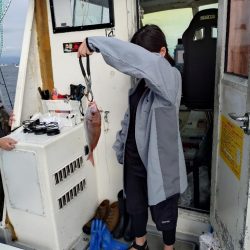 ティップランとライトジギング!