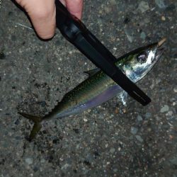 即掛けの練習へ