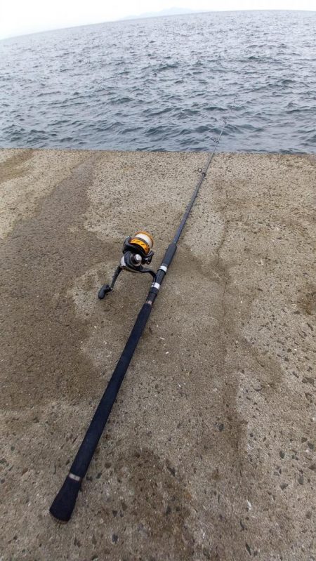 秋の青物シーズン開幕 (その3)