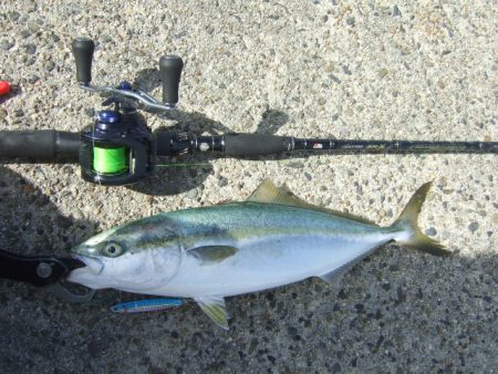 ベイトタックルでLSJ