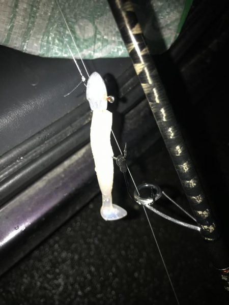 朝マズメにワームで太刀魚9匹GET