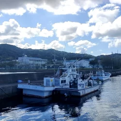 イカでかすぎー!