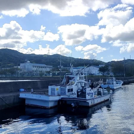 イカでかすぎー!