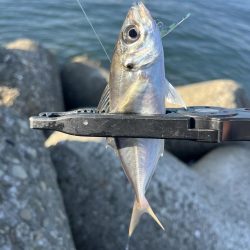 釣り人の特権かな