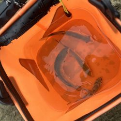 デカメッキと3種コンプ!