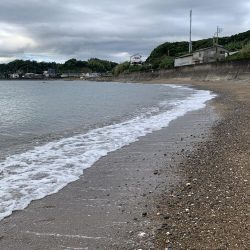 サーフエギング