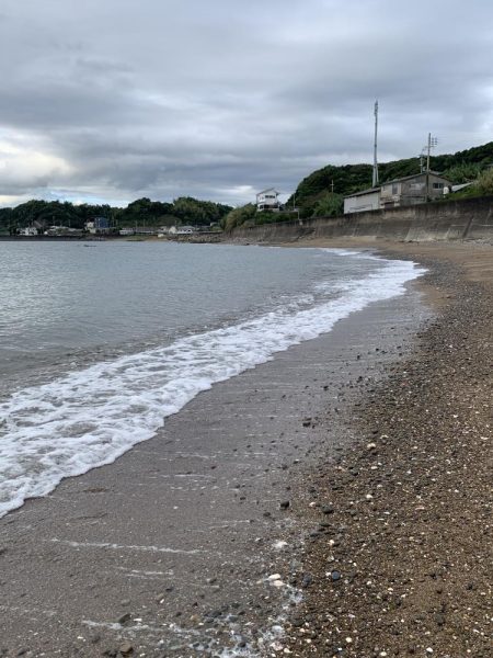 サーフエギング