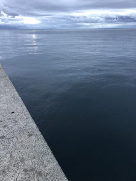 エギング　佐渡遠征④