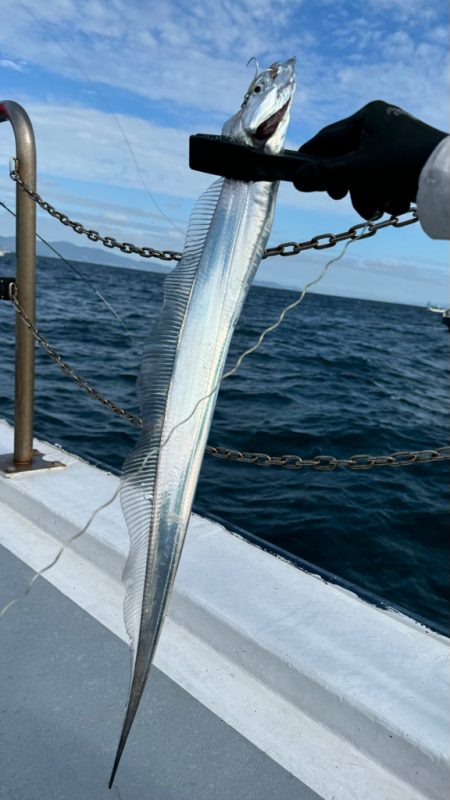 紀淡海峡　タチウオジギング