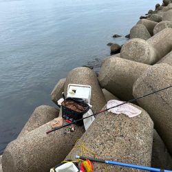 魚津港フカセ釣り
