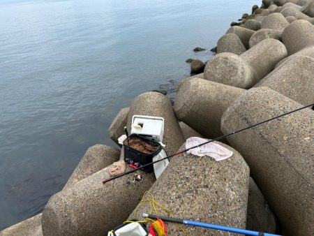 魚津港フカセ釣り