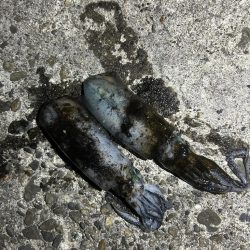 気持ちいい🎣🌪️