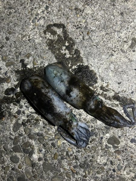 気持ちいい🎣🌪️