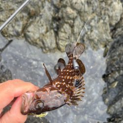 小浜秋のライトロック