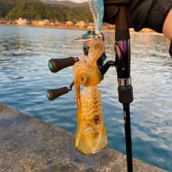 養老遠征エギング