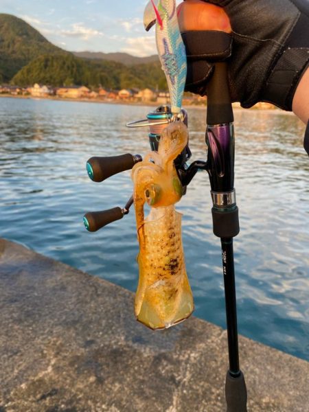 養老遠征エギング