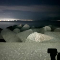 魚津港 フカセ夕釣り