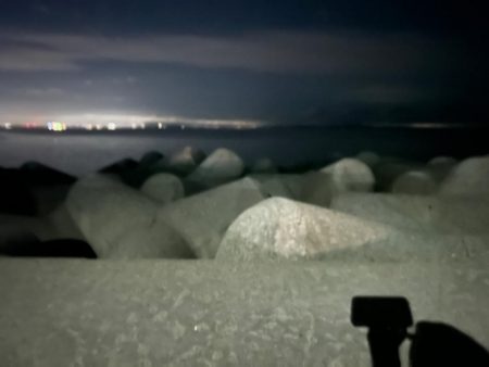 魚津港 フカセ夕釣り