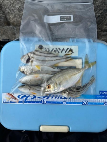 ちょい投げキス釣り