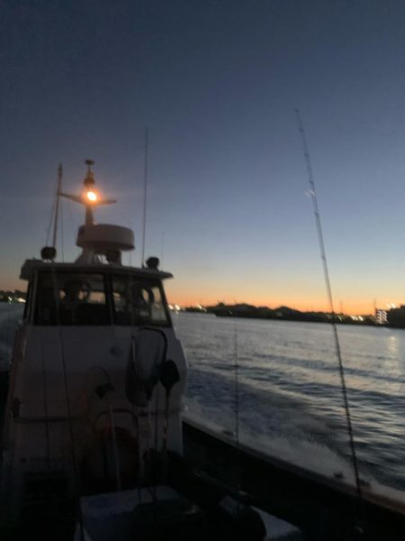 ティップランエギング