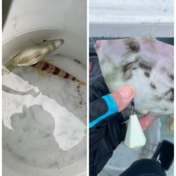 いつも悪天候(苦笑)