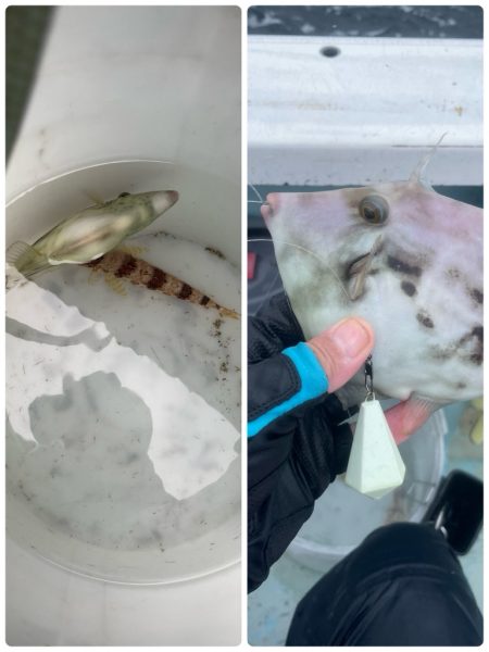 いつも悪天候(苦笑)